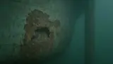 Onderwaterscan Video Beeld Inspectie Corrosie